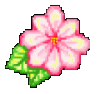 Camellia's picture